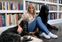 Cheryl Hines Net Worth