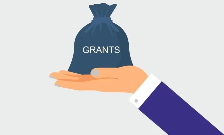 A Beginner's Guide to Free Government Grants