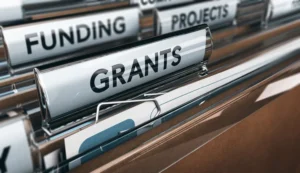 Identify the types of grants available