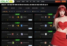 Live Football and Match Results